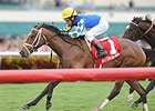 Candy Kitty <br><a target="blank" href="http://photos.bloodhorse.com/AtTheRaces-1/At-the-Races-2014/35724761_2vdnSX#!i=3007805164&k=7s3t6RR">Order This Photo</a>