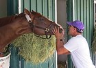California Chrome and Willie Delgado