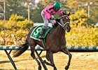 Alert Bay wins the British Columbia Derby.