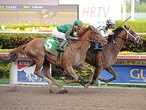 Commissioner Likely to Run in Arkansas Derby Commissioner Likely to Run in Arkansas Derby