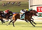 Enterprising and jockey Mike Smith, outside, nose out Argyle Cut, inside, to win the 2014 Oceanside Stakes.