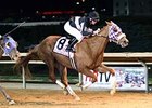 Flattering Bea leads the way to victory in the Sugar Maple Stakes.