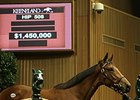 Hip 508, a filly by Dubawi brought a final bid of $1.45 million Sept. 10.