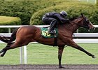 Hip 69, a Sky Mesa colt, was the fastest horse to work an eighth-mile, covering the distance in :09 2/5.