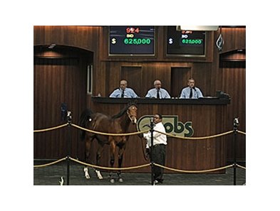 Hip No. 924, a colt by Indian Charlie consigned by de Meric Sales, agent, sold for $625,000 to top the last session.