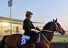 <br><a target="blank" href="http://photos.bloodhorse.com/AtTheRaces-1/Dubai-2014/38085033_tQgx4h#!i=3147403780&k=kK4MPpS">Order This Photo</a>