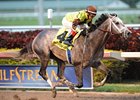 Graydar won the 2013 Donn Handicap.<br><a target="blank" href="http://photos.bloodhorse.com/AtTheRaces-1/at-the-races-2013/27257665_QgCqdh#!i=2357931921&k=hv2CRdr">Order This Photo</a>