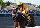 Kauai Katie takes on 5 in the Acorn.<br><a target="blank" href="http://photos.bloodhorse.com/AtTheRaces-1/at-the-races-2013/27257665_QgCqdh#!i=2337168543&k=8QTxwmg">Order This Photo</a>
