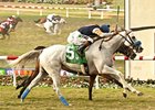 Grade I Winner Egg Drop Bred to Tapit Grade I Winner Egg Drop Bred to Tapit