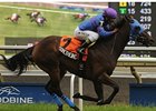 Something Extra takes on 12 in the Highlander Stakes.