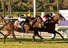 Lady Ten is the only graded stakes winner in the Eatontown field.