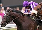 Royal Ascot Interview - Aidan O'Brien Royal Ascot Interview - Aidan O'Brien
