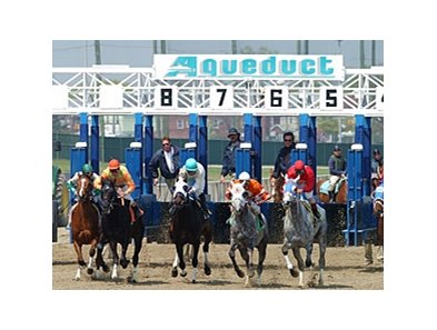 Aqueduct Racetrack
