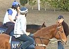 Caulfield Cup: Mick Price Caulfield Cup: Mick Price