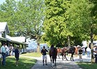 Keeneland September Yearling Sale