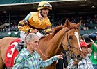 Wise Dan Drills in Company on Saratoga Dirt Wise Dan Drills in Company on Saratoga Dirt