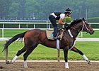 Commanding Curve
<br><a target="blank"
href="http://photos.bloodhorse.com/TripleCrown/2014-Triple-Crown/Belmont-Stakes-146/i-jnt95LT">Order This Photo</a>