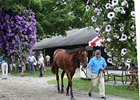 Fasig-Tipton Saratoga Sale