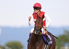Shonan Pandora wins the Shuka Sho.
<br><a target="blank" href="http://photos.bloodhorse.com/AtTheRaces-1/At-the-Races-2014/i-ShLcdhV">Order This Photo</a>