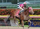Groupie Doll wins the Hurricane Bertie Stakes.
<br><a target="blank" href="http://photos.bloodhorse.com/AtTheRaces-1/At-the-Races-2014/35724761_2vdnSX#!i=3066994538&k=6PjTWRq">Order This Photo</a>