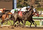 Sahara Sky faces 6 in the Triple Bend.