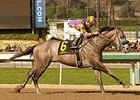 Kobe's Back wins the the San Vicente Stakes.