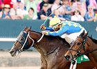 Lemon Drop Dream won the Count Fleet Sprint this spring at Oaklawn Park.