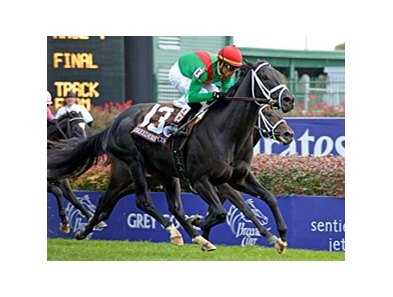 2010 Breeders' Cup Juvenile Turf (gr. IIT) winner Pluck is out of Secret Heart.