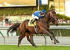Unbridled's Note won the 2014 Daytona Stakes.