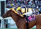 Wise Dan <br><a target="blank" href="http://photos.bloodhorse.com/BreedersCup/2013-Breeders-Cup/Mile/33150010_L6N4PX#!i=2878545101&k=VG92MXv">Order This Photo</a>