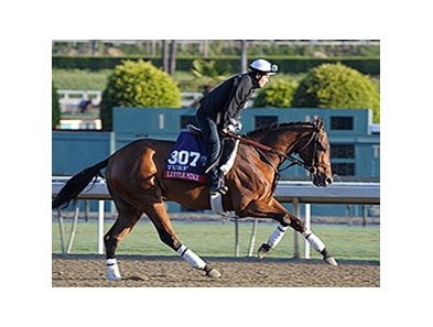 Little Mike
<br><a target="blank" href="http://photos.bloodhorse.com/BreedersCup/2013-Breeders-Cup/Breeders-Cup/i-mZkmT4f">Order This Photo</a>