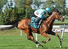 Lady Eli wins the Miss Grillo Stakes.
<br><a target="blank" href="http://photos.bloodhorse.com/AtTheRaces-1/At-the-Races-2014/i-7F4c9R4">Order This Photo</a>
