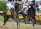 Stopchargingmaria Cashes in Black-Eyed Susan Stopchargingmaria Cashes in Black-Eyed Susan