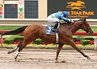 Grand Contender wins the Lone Star Park Handicap.