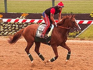 California Chrome Has First Gallop at Pimlico California Chrome Has First Gallop at Pimlico