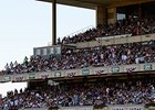 102,199 watched California Chrome's Triple Crown bid.
