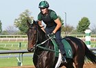 Close Hatches is undefeated in four races in 2014.