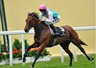 Riposte seeks her first U.S. victory in the Sheepshead Bay Stakes.<br><a target="blank" href="http://photos.bloodhorse.com/AtTheRaces-1/at-the-races-2013/27257665_QgCqdh#!i=2586534230&k=TQNzFLw">Order This Photo</a>