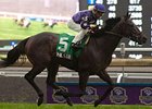 Canada's Nearctic Stakes Downgraded Canada's Nearctic Stakes Downgraded