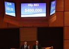 Hip 803, a colt by Street Cry, brought $400,000.