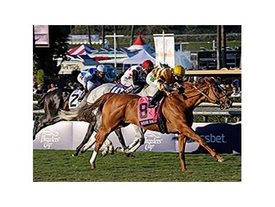 Wise Dan<br><a target="blank" href="http://photos.bloodhorse.com/BreedersCup/2013-Breeders-Cup/Mile/33150010_L6N4PX#!i=2888974700&k=JPkB87S">Order This Photo</a>