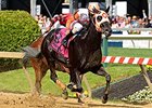 Ben's Cat won the 2014 Jim McKay Turf Sprint. <br><a target="blank" href="http://photos.bloodhorse.com/AtTheRaces-1/At-the-Races-2014/i-ghR62DS">Order This Photo</a>