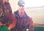 Airdrie Reports First Foal for Creative Cause Airdrie Reports First Foal for Creative Cause