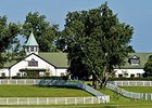 Dixiana Farm