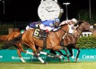 Aurelia's Belle faces 9 in the Arlington Oaks.