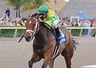 Pletcher Fillies Highlight Davona Dale Field Pletcher Fillies Highlight Davona Dale Field