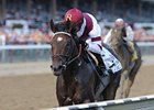 Royal Delta<br><a target="blank" href="http://photos.bloodhorse.com/AtTheRaces-1/at-the-races-2013/27257665_QgCqdh#!i=2723310291&k=6gw8pwB">Order This Photo</a>