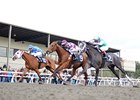 Here's Johnny (center) takes the colt and gelding division of the OBS Champions Stakes.<br><a target="blank" href="http://photos.bloodhorse.com/AtTheRaces-1/At-the-Races-2014/35724761_2vdnSX#!i=3035255023&k=WRmNcFd">Order This Photo</a>