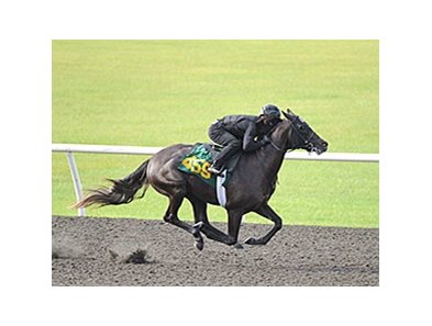 Hip No. 455, a Grand Slam colt out of the Black Tie Affair mare Beaux Arts Ball, was one of 3 to breeze a furlong in :10.