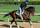 Medal Count<br><a target="blank" href="http://photos.bloodhorse.com/TripleCrown/2014-Triple-Crown/Kentucky-Derby-Workouts/i-Fvcngkw">Order This Photo</a>